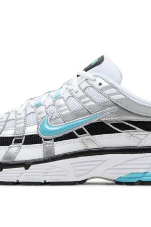 Nike P-6000 Dusty Cactus